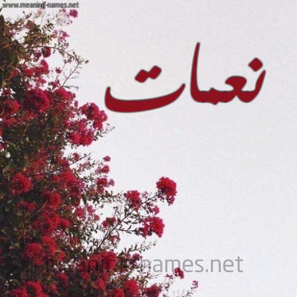 شكل 18 صوره الورد الأحمر للإسم بخط رقعة صورة اسم نعمات Namat