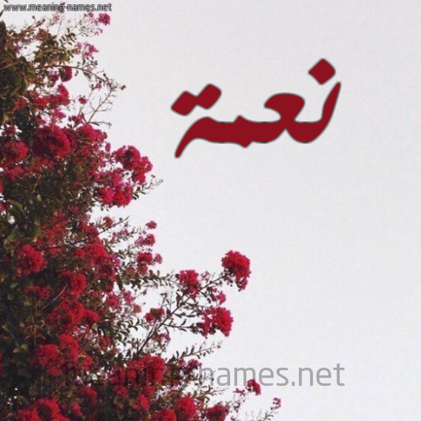 شكل 18 صوره الورد الأحمر للإسم بخط رقعة صورة اسم نعمة Namaa