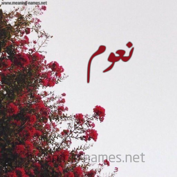 شكل 18 صوره الورد الأحمر للإسم بخط رقعة صورة اسم نعوم Naom