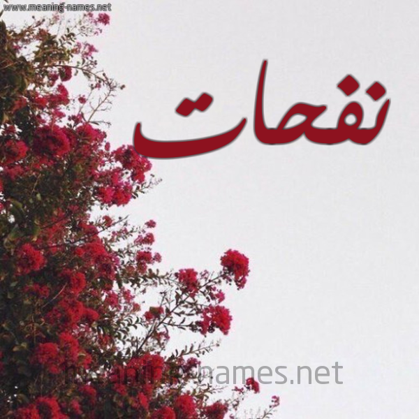 شكل 18 صوره الورد الأحمر للإسم بخط رقعة صورة اسم نفحات nfahat