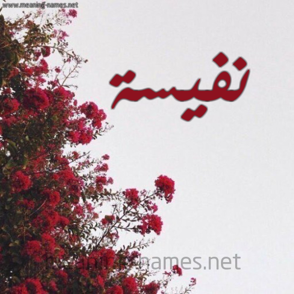 شكل 18 صوره الورد الأحمر للإسم بخط رقعة صورة اسم نفيسة Nafysa