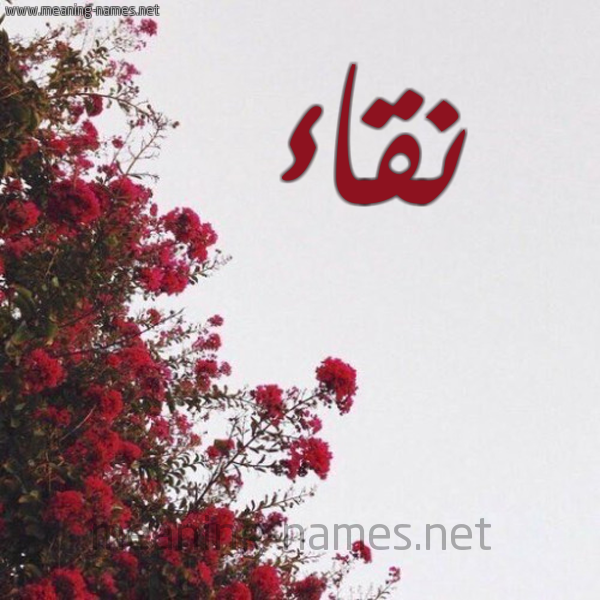 شكل 18 صوره الورد الأحمر للإسم بخط رقعة صورة اسم نقاء Nqa"a