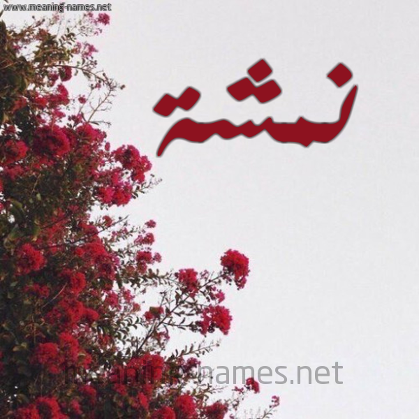 شكل 18 صوره الورد الأحمر للإسم بخط رقعة صورة اسم نمشة Nmshh