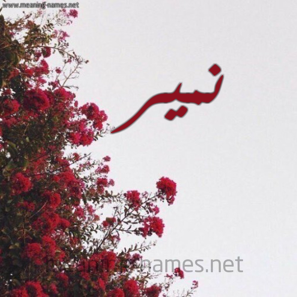 شكل 18 صوره الورد الأحمر للإسم بخط رقعة صورة اسم نمير Nmyr