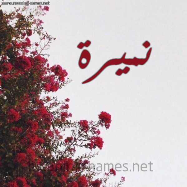 شكل 18 صوره الورد الأحمر للإسم بخط رقعة صورة اسم نميرة Numaira
