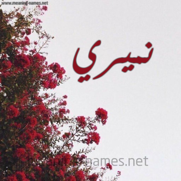 شكل 18 صوره الورد الأحمر للإسم بخط رقعة صورة اسم نميري Nmiri