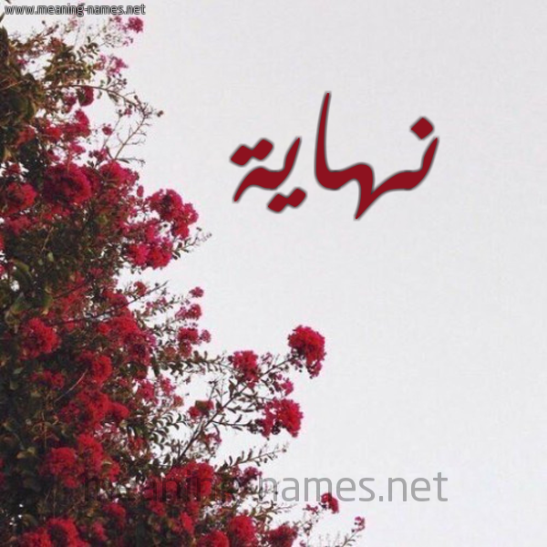 شكل 18 صوره الورد الأحمر للإسم بخط رقعة صورة اسم نهاية Nhaia