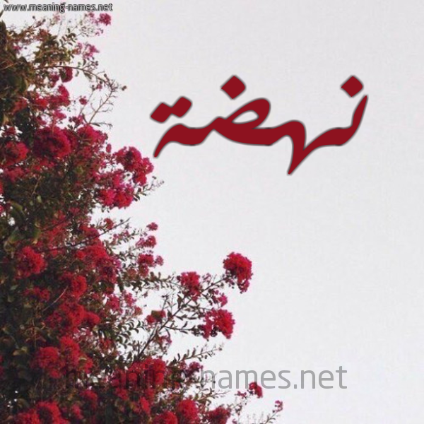 شكل 18 صوره الورد الأحمر للإسم بخط رقعة صورة اسم نهضة Nhd'h