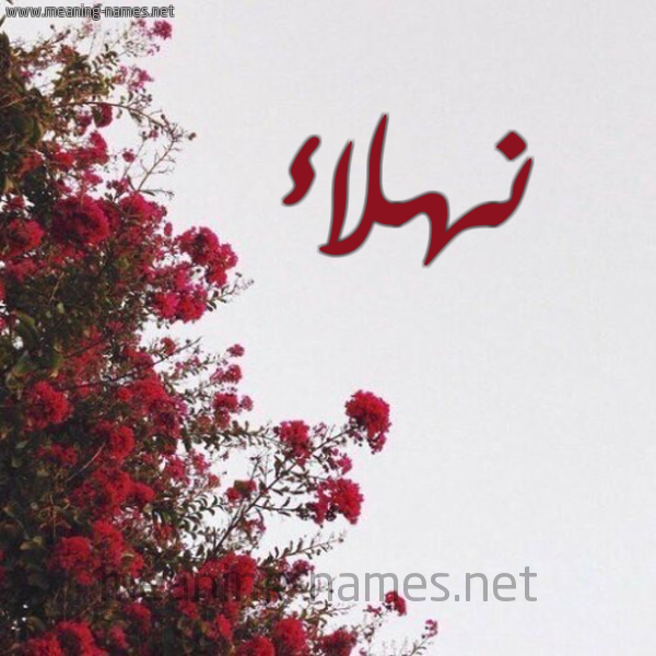 شكل 18 صوره الورد الأحمر للإسم بخط رقعة صورة اسم نهلاء Nhla'a