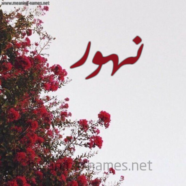 شكل 18 صوره الورد الأحمر للإسم بخط رقعة صورة اسم نهور Nohor