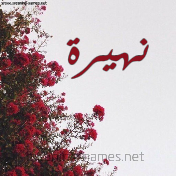 شكل 18 صوره الورد الأحمر للإسم بخط رقعة صورة اسم نهيرة Nuhaira