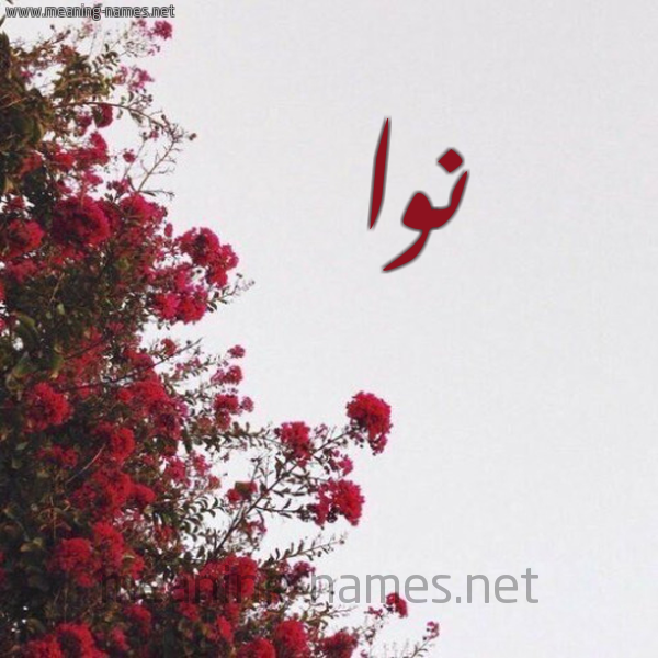 شكل 18 صوره الورد الأحمر للإسم بخط رقعة صورة اسم نوا nwa