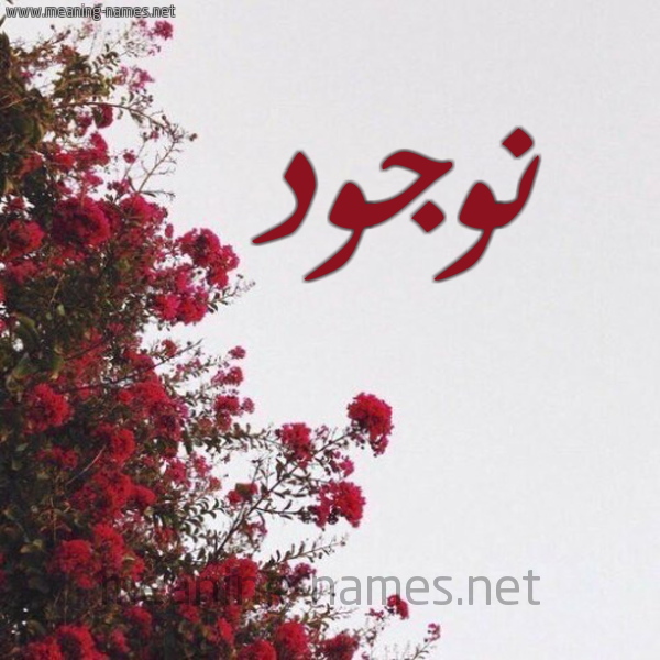 شكل 18 صوره الورد الأحمر للإسم بخط رقعة صورة اسم نوجود NOUJOUD