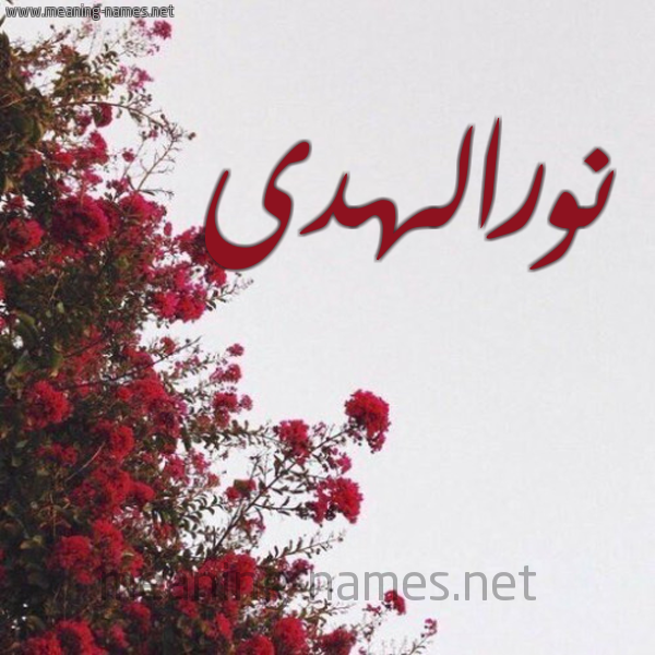 شكل 18 صوره الورد الأحمر للإسم بخط رقعة صورة اسم نورالهدى Nwralhda