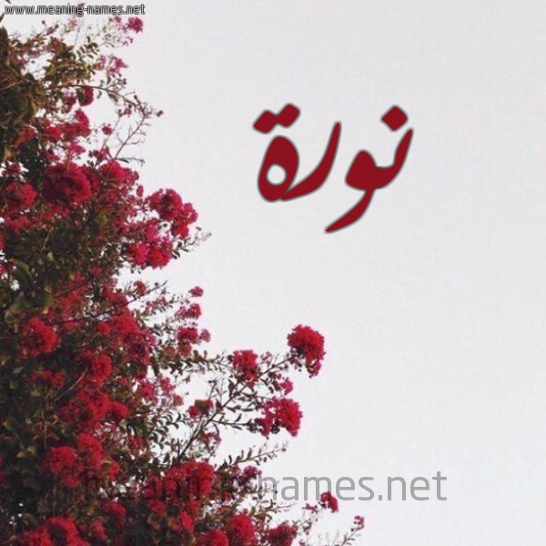 شكل 18 صوره الورد الأحمر للإسم بخط رقعة صورة اسم نورة Norah