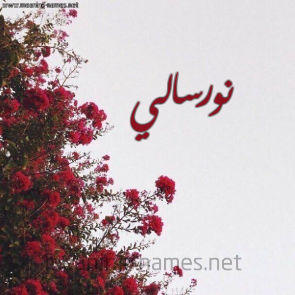 شكل 18 صوره الورد الأحمر للإسم بخط رقعة صورة اسم نورسالي Nurseli