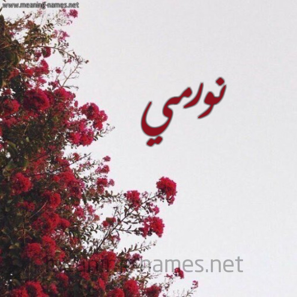 شكل 18 صوره الورد الأحمر للإسم بخط رقعة صورة اسم نورمي normi