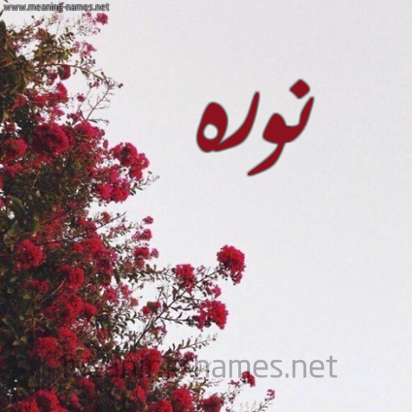 شكل 18 صوره الورد الأحمر للإسم بخط رقعة صورة اسم نوره Norah