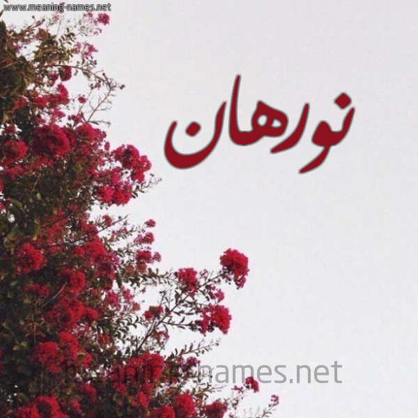 شكل 18 صوره الورد الأحمر للإسم بخط رقعة صورة اسم نورهان Norhan