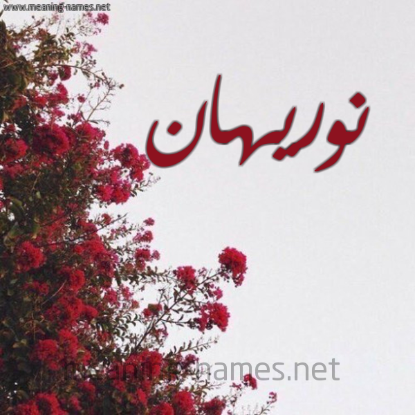 شكل 18 صوره الورد الأحمر للإسم بخط رقعة صورة اسم نوريهان Nourhan