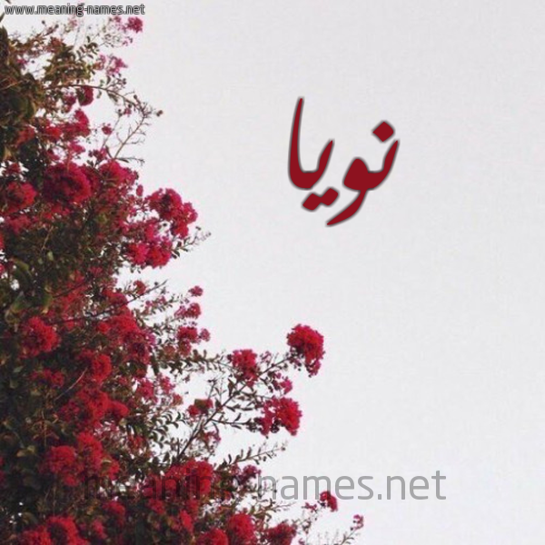 شكل 18 صوره الورد الأحمر للإسم بخط رقعة صورة اسم نويا noia