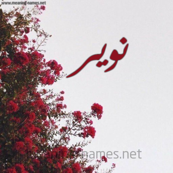 شكل 18 صوره الورد الأحمر للإسم بخط رقعة صورة اسم نوير Nwair