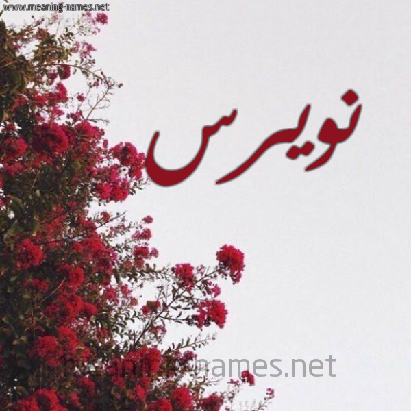 شكل 18 صوره الورد الأحمر للإسم بخط رقعة صورة اسم نويرس Nawras