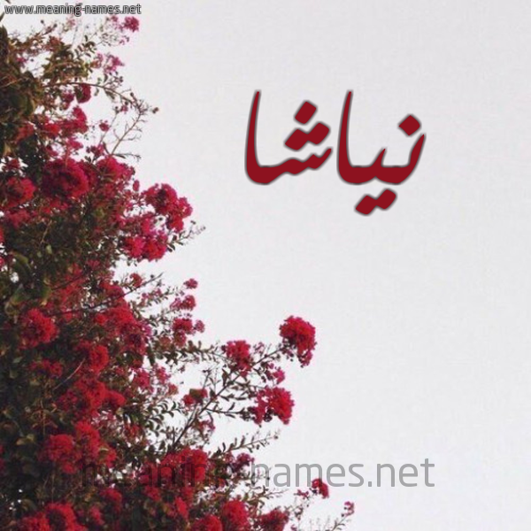 شكل 18 صوره الورد الأحمر للإسم بخط رقعة صورة اسم نياشا Nasha