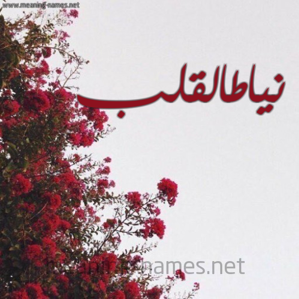 شكل 18 صوره الورد الأحمر للإسم بخط رقعة صورة اسم نياطالقلب Nyatalqlb