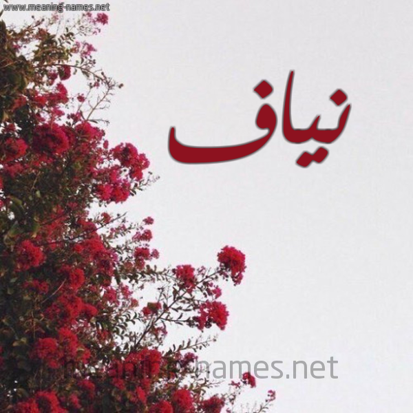شكل 18 صوره الورد الأحمر للإسم بخط رقعة صورة اسم نياف Nyaf