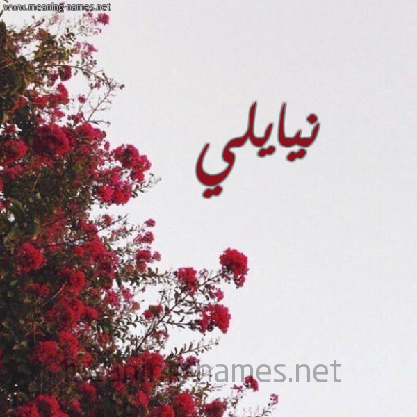 شكل 18 صوره الورد الأحمر للإسم بخط رقعة صورة اسم نيايلي Nayeli