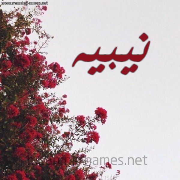 شكل 18 صوره الورد الأحمر للإسم بخط رقعة صورة اسم نيبيه Nabih