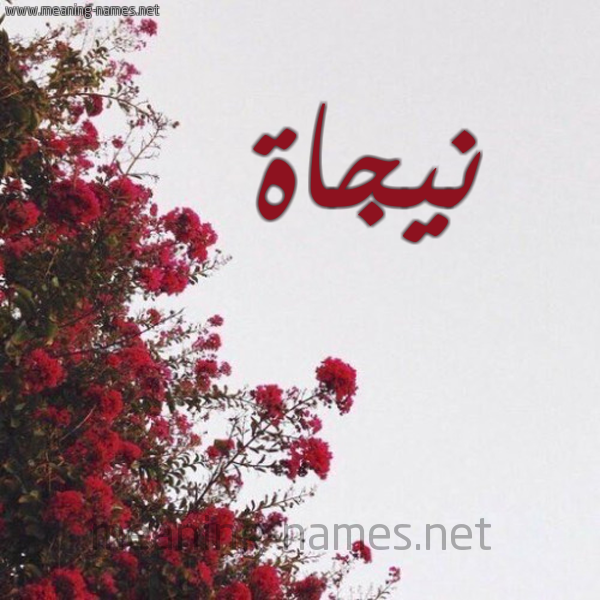 شكل 18 صوره الورد الأحمر للإسم بخط رقعة صورة اسم نيجاة Najat
