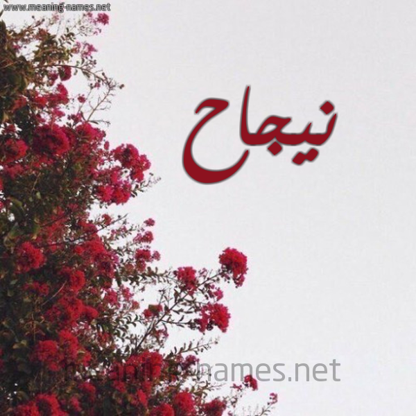 شكل 18 صوره الورد الأحمر للإسم بخط رقعة صورة اسم نيجاح Najah