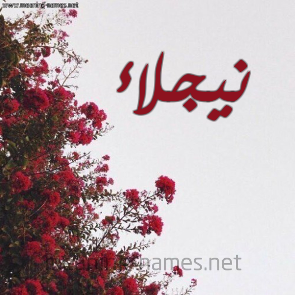شكل 18 صوره الورد الأحمر للإسم بخط رقعة صورة اسم نيجلاء Naglaa