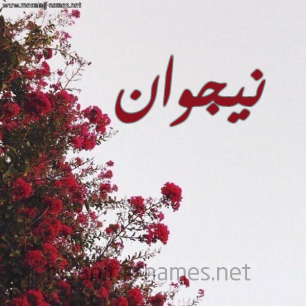 شكل 18 صوره الورد الأحمر للإسم بخط رقعة صورة اسم نيجوان Nagwan