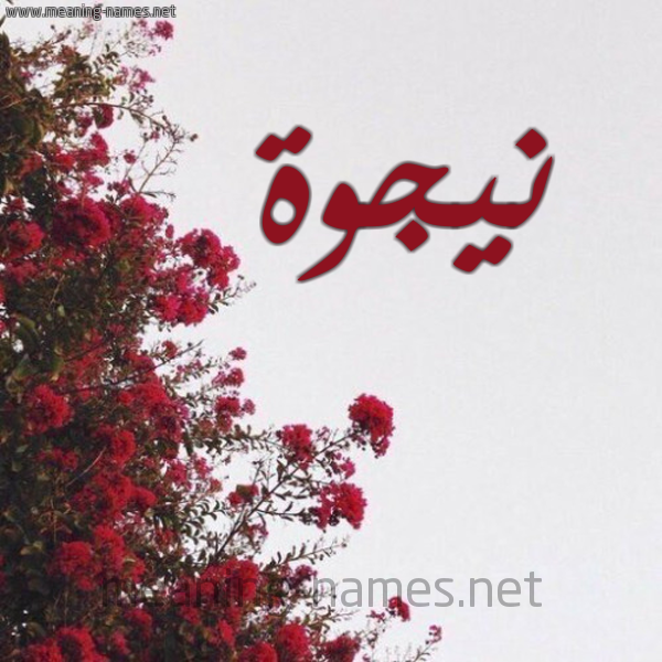 شكل 18 صوره الورد الأحمر للإسم بخط رقعة صورة اسم نيجوة Najwa