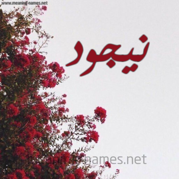 شكل 18 صوره الورد الأحمر للإسم بخط رقعة صورة اسم نيجود Nujood
