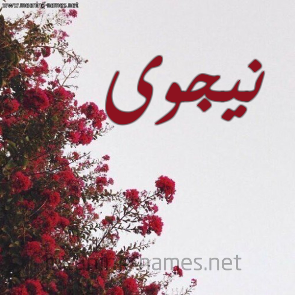 شكل 18 صوره الورد الأحمر للإسم بخط رقعة صورة اسم نيجوى Najwa