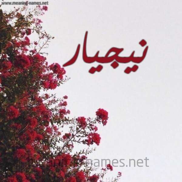 شكل 18 صوره الورد الأحمر للإسم بخط رقعة صورة اسم نيجيار Nejar