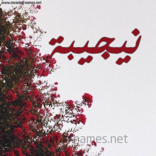 شكل 18 صوره الورد الأحمر للإسم بخط رقعة صورة اسم نيجيبة Najiba