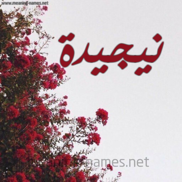شكل 18 صوره الورد الأحمر للإسم بخط رقعة صورة اسم نيجيدة Najida