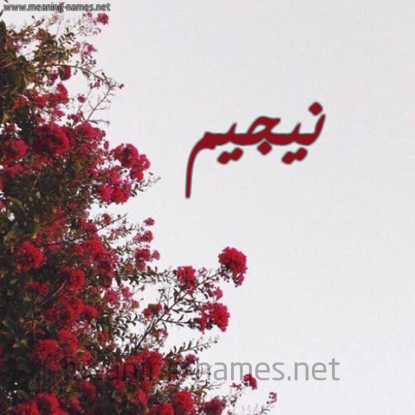 شكل 18 صوره الورد الأحمر للإسم بخط رقعة صورة اسم نيجيم Najeem