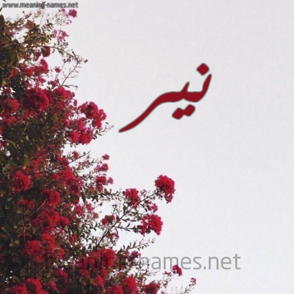 شكل 18 صوره الورد الأحمر للإسم بخط رقعة صورة اسم نير neer