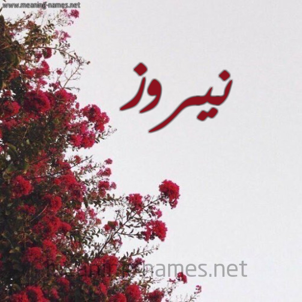 شكل 18 صوره الورد الأحمر للإسم بخط رقعة صورة اسم نيروز Nairoz