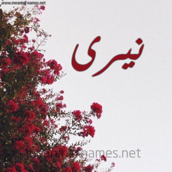 شكل 18 صوره الورد الأحمر للإسم بخط رقعة صورة اسم نيرى niri