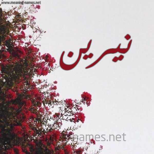 شكل 18 صوره الورد الأحمر للإسم بخط رقعة صورة اسم نيرين nireen