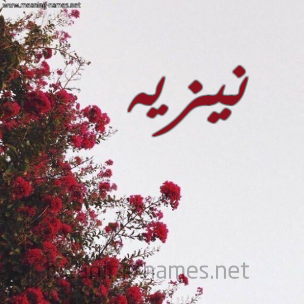شكل 18 صوره الورد الأحمر للإسم بخط رقعة صورة اسم نيزيه Nazeh