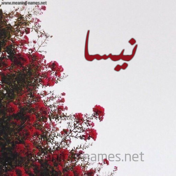 شكل 18 صوره الورد الأحمر للإسم بخط رقعة صورة اسم نيسا Nisa