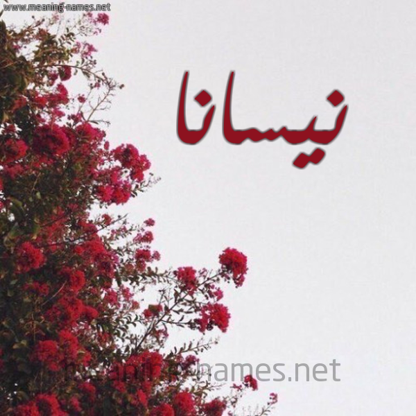شكل 18 صوره الورد الأحمر للإسم بخط رقعة صورة اسم نيسانا nissana